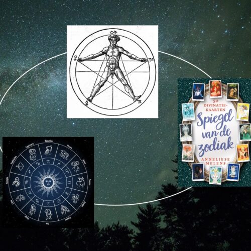 cursussen en workshops