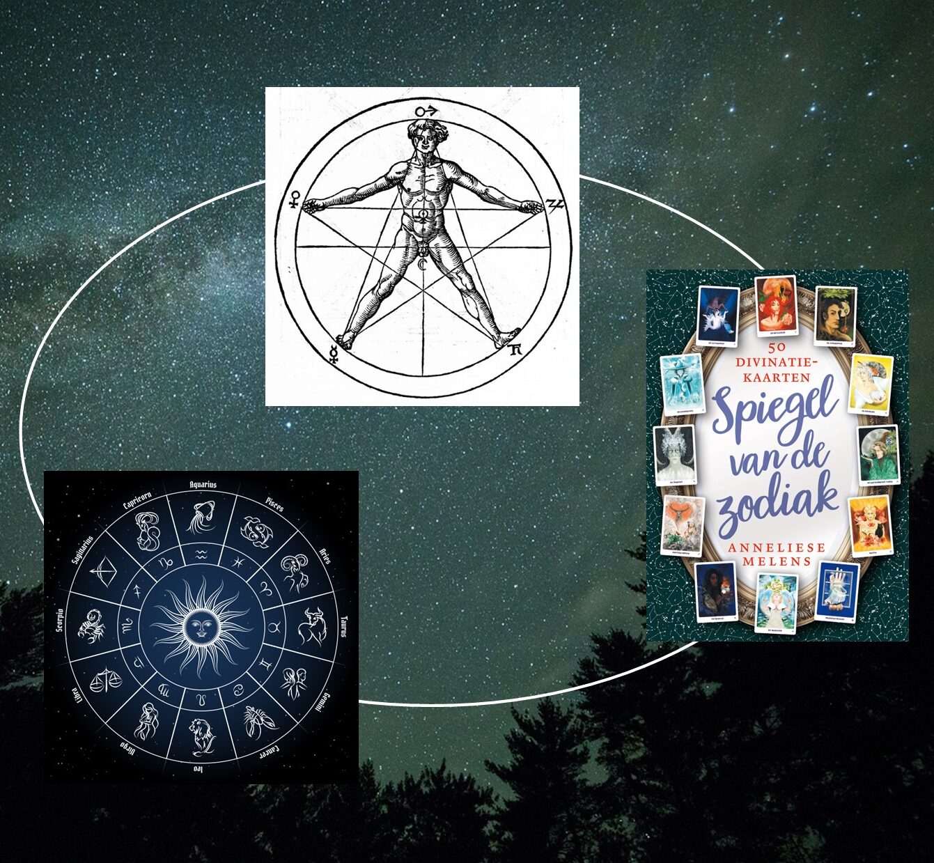 cursussen en workshops