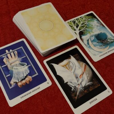 Kaart uit de Praktijkspiegel reading voor winst en positionering met Spiegel van de Zodiak